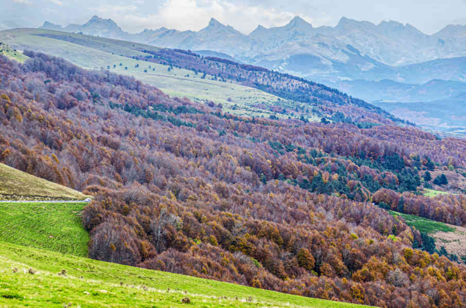 Comunidad Foral de Navarra 013 - valle de Salazar.jpg